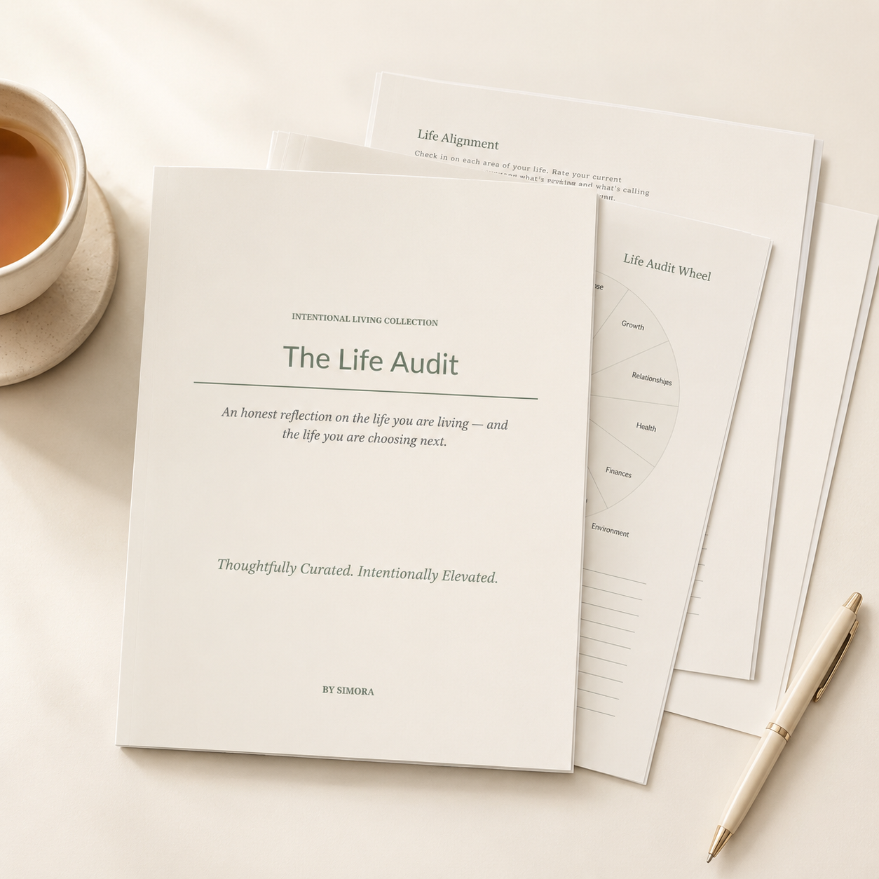 The Life Audit